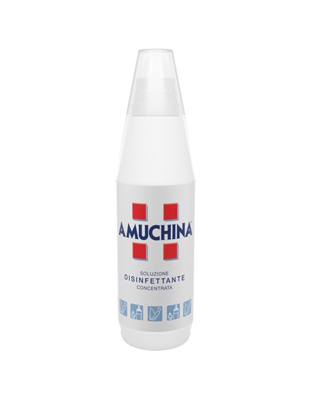 Amuchina - Soluzione disinfettante concentrata 500ml 419720 Amuchina Professional PARAFARMACEUTICA