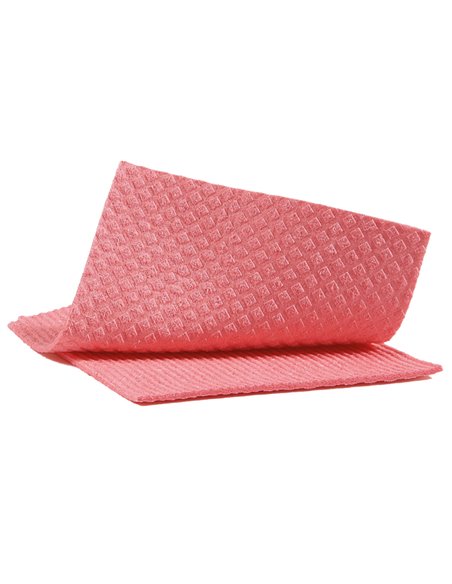 Pack 10 Pannospugna Aquos rosso PERFETTO 0231C PERFETTO PANNI e SPUGNE