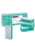 Pack 10 Spugne verde Pro Color PerfettoFactory 0220A