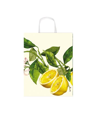 Shopper carta kraft c/manici in carta ritorta 16x21x8cm fantasie ass. Rex Sadoch SDX16ASS