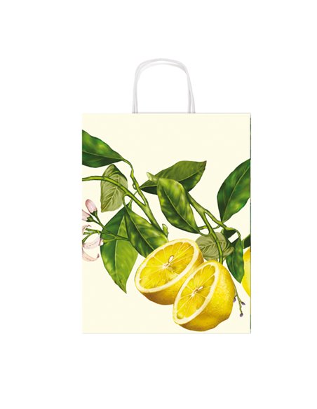 Shopper carta kraft c/manici carta ritorta 26x34,5x12cm fantasie ass. Rex Sadoch SDX26ASS REX SADOCH SHOPPERS E SACCHETTI REGALO