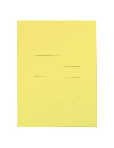 25 cartelline 3L pastello C/stampa rigatura crema CARTEX BLASETTI 669 BLASETTI CARTELLINE A TRE LEMBI