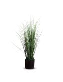 Pianta ornamentale ERBA H55cm K700130