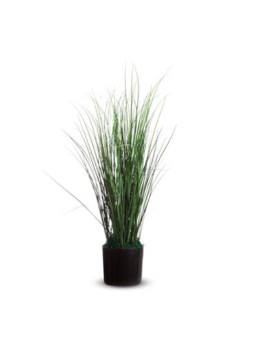 Pianta ornamentale ERBA H55cm K700130