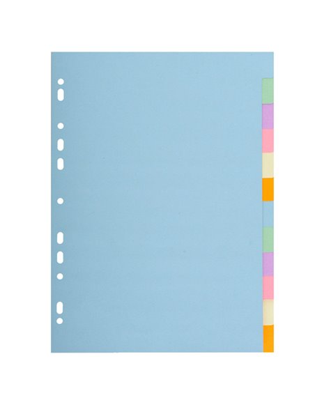SEPARATORE Pastel A4 12 tasti in CARTONCINO 170gr 1612E Forever Exacompta 1612E EXACOMPTA DIVISORI-SEPARATORI CON TASTI NEUTRI