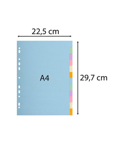 SEPARATORE Pastel A4 12 tasti in CARTONCINO 170gr 1612E Forever Exacompta 1612E EXACOMPTA DIVISORI-SEPARATORI CON TASTI NEUTRI