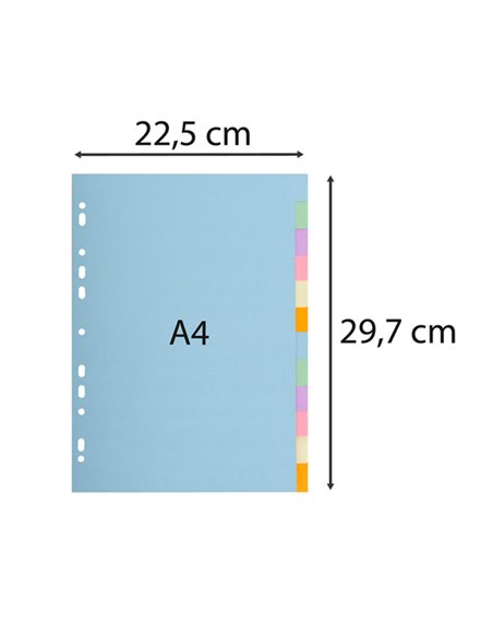 SEPARATORE Pastel A4 12 tasti in CARTONCINO 170gr 1612E Forever Exacompta 1612E EXACOMPTA DIVISORI-SEPARATORI CON TASTI NEUTRI