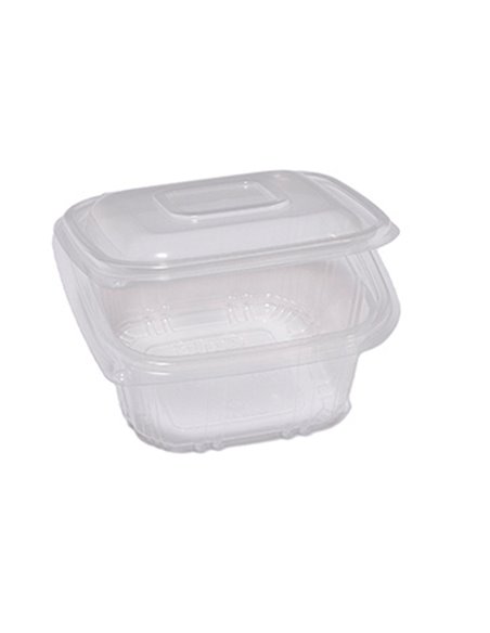 Pack 50 contenitori in PP coperchio incernierato 12x12cm H5,5cm Europack QC0-375 48401032 EUROPACK CONTENITORI PER ALIMENTI-B...