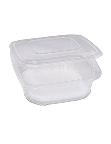 Pack 50 contenitori in PP coperchio incernierato 21,5x21,5cm H6,9 QC3-2000 48431062 EUROPACK CONTENITORI PER ALIMENTI-BORSE-C...