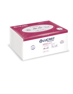 100 Panni Beauty piegati 43x77cm per estetisti e parrucchieri Airtech Lucart 853008J Lucart ASCIUGAMANI PIEGATI E IN ROTOLO
