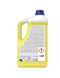 Detergente sgrassante Deink 5kg Sanitec 1887 2