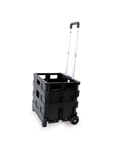 Carrello pieghevole con cassa in plastica portata max 25kg C1299040