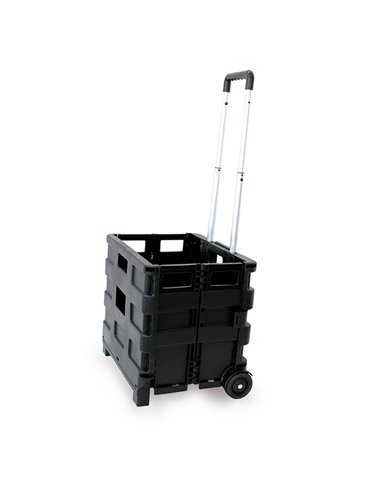Carrello pieghevole con cassa in plastica portata max 25kg C1299040