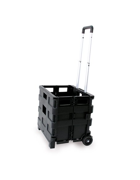 Carrello pieghevole con cassa in plastica portata max 25kg C1299040