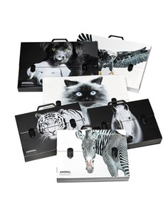 Valigetta polionda Animal Friends 28x38 dorso 5cm fantasie assortite Colorosa 6428385200BW