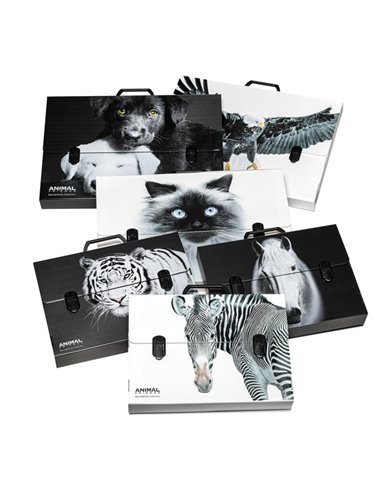 Valigetta polionda Animal Friends 38x53 dorso 5cm fantasie assortite Colorosa 6438535200BW Colorosa VALIGETTE POLIONDA-PORTAD...