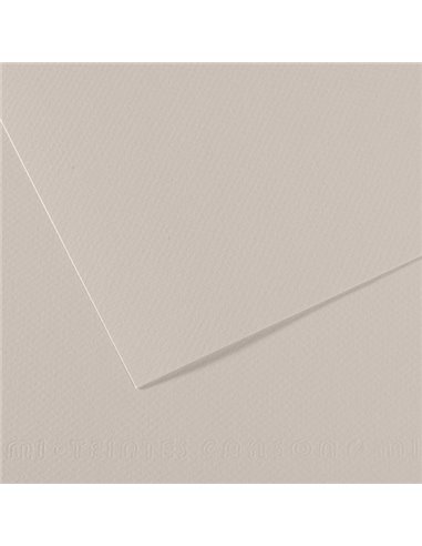 Foglio MI-TEINTES A4 cm 160 gr. 120 grigio perla C31032S009