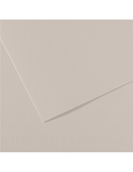 Foglio MI-TEINTES A4 cm 160 gr. 120 grigio perla C31032S009