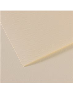 Foglio MI-TEINTES A4 cm 160 gr. 110 giglio C31032S006 CANSON CARTA E CARTONCINO