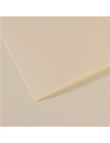 Foglio MI-TEINTES A4 cm 160 gr. 110 giglio C31032S006 CANSON CARTA E CARTONCINO