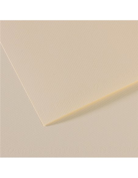 Foglio MI-TEINTES A4 cm 160 gr. 110 giglio C31032S006 CANSON CARTA E CARTONCINO