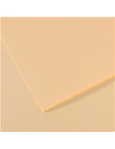 Foglio MI-TEINTES A4 cm 160 gr. 111 avorio C31032S007 CANSON CARTA E CARTONCINO