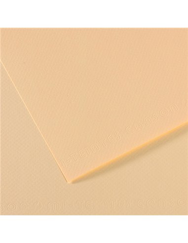 Foglio MI-TEINTES A4 cm 160 gr. 111 avorio C31032S007 CANSON CARTA E CARTONCINO