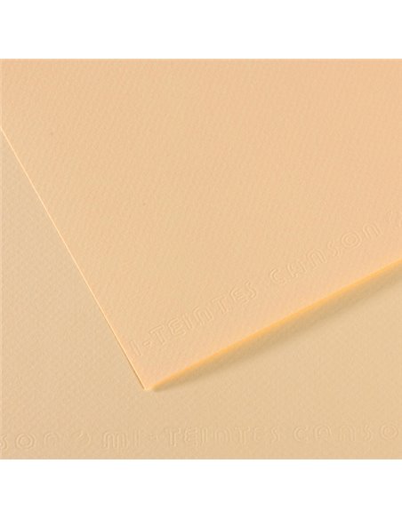 Foglio MI-TEINTES A4 cm 160 gr. 111 avorio C31032S007 CANSON CARTA E CARTONCINO