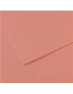 Foglio MI-TEINTES A4 cm 160 gr. 352 rosa scuro C31032S016 CANSON CARTA E CARTONCINO