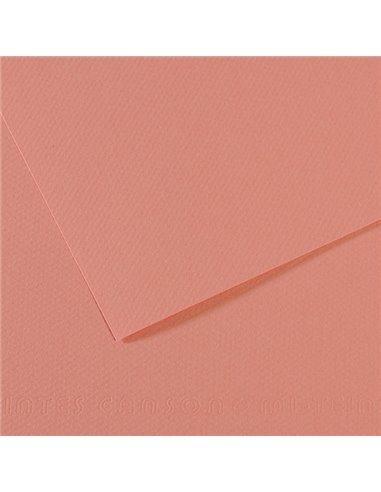 Foglio MI-TEINTES A4 cm 160 gr. 352 rosa scuro C31032S016 CANSON CARTA E CARTONCINO