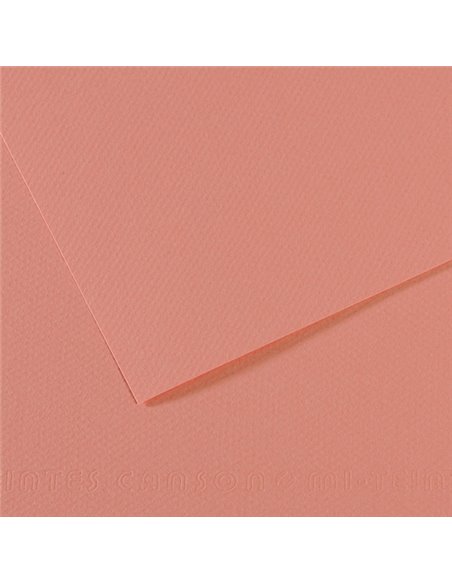 Foglio MI-TEINTES A4 cm 160 gr. 352 rosa scuro C31032S016 CANSON CARTA E CARTONCINO