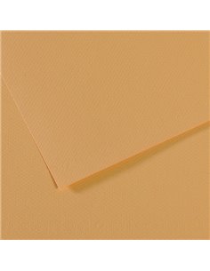 Foglio MI-TEINTES A4 cm 160 gr. 340 canapa chiara C31032S013 CANSON CARTA E CARTONCINO