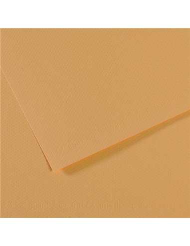 Foglio MI-TEINTES A4 cm 160 gr. 340 canapa chiara C31032S013 CANSON CARTA E CARTONCINO