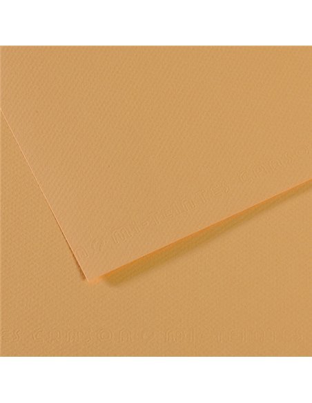 Foglio MI-TEINTES A4 cm 160 gr. 340 canapa chiara C31032S013 CANSON CARTA E CARTONCINO