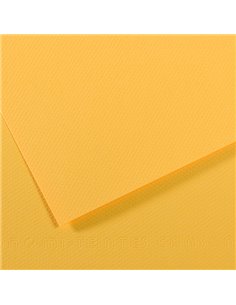 Foglio MI-TEINTES A4 cm 160 gr. 400 botton d'oro C31032S018 CANSON CARTA E CARTONCINO