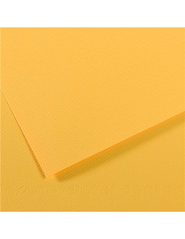Foglio MI-TEINTES A4 cm 160 gr. 400 botton d'oro C31032S018 CANSON CARTA E CARTONCINO