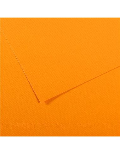 Foglio MI-TEINTES A4 cm 160 gr. 553 giallo sole C31032S028 CANSON CARTA E CARTONCINO