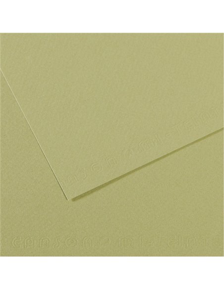 Foglio MI-TEINTES A4 160 gr. 480 verde mandorla C31032S022