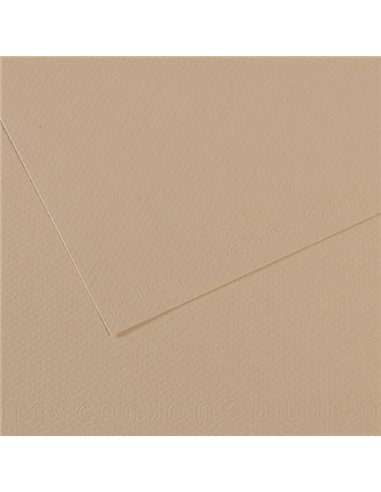 Foglio MI-TEINTES A4 cm 160 gr. 343 grigio trianon C31032S014