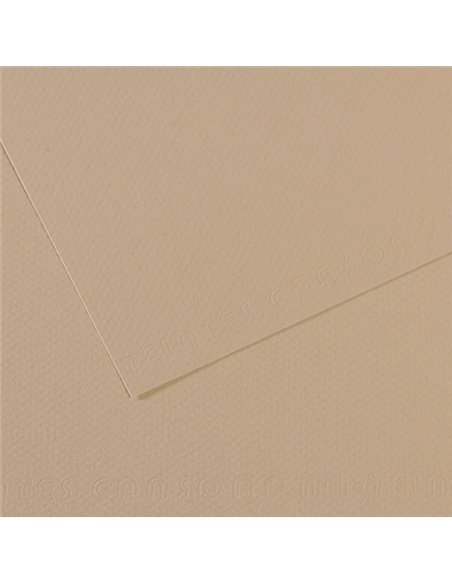 Foglio MI-TEINTES A4 cm 160 gr. 343 grigio trianon C31032S014