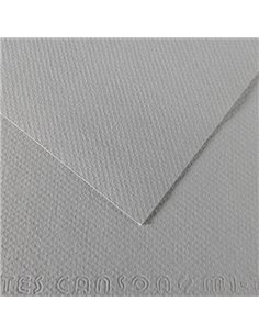 Foglio MI-TEINTES A4 cm 160 gr. 122 grigio flanella C31032S010