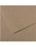 Foglio MI-TEINTES A4 cm 160 gr. 431 grigio screziato C31033S035