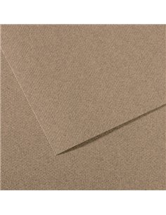 Foglio MI-TEINTES A4 cm 160 gr. 431 grigio screziato C31033S035