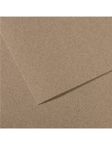 Foglio MI-TEINTES A4 cm 160 gr. 431 grigio screziato C31033S035