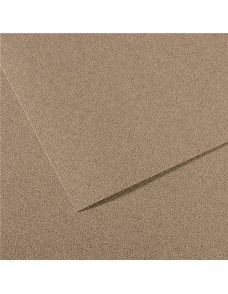 Foglio MI-TEINTES A4 cm 160 gr. 431 grigio screziato C31033S035