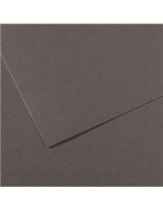 Foglio MI-TEINTES A4 cm 160 gr. 345 grigio ardesia C31032S015 CANSON CARTA E CARTONCINO