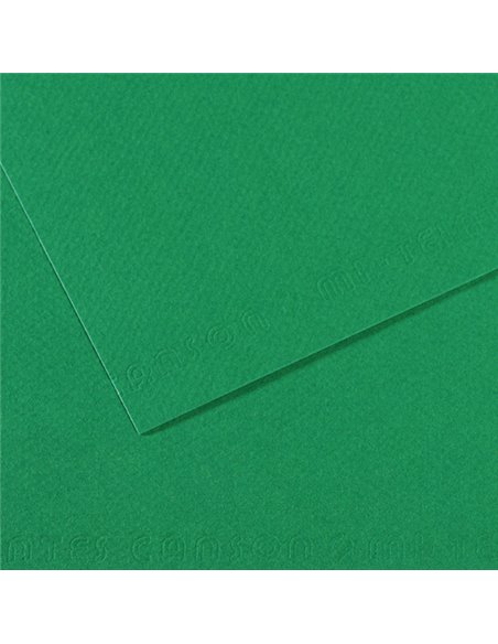 Foglio MI-TEINTES A4 cm 160 gr. 575 verde biliardo C31032S029