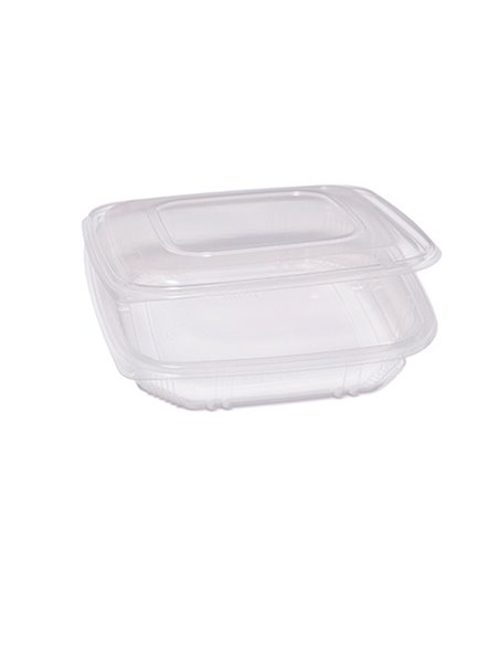 Pack 50 contenitori PP coperchio incernierato 21,5x21,5cm H3,4cm Europack QC3-10 48431022 EUROPACK CONTENITORI PER ALIMENTI-B...
