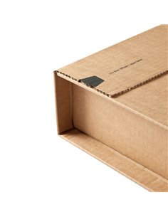 Scatola postale UNIPAC 380x290x80MM FUSTELLATA CP020.17 COLOMPAC SCATOLE E TUBI PER SPEDIZIONE 2