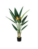 Pianta ornamentale Sterlizia 12 foglie e 2 fiori P2150598